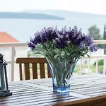 Apartment Iva Trogir